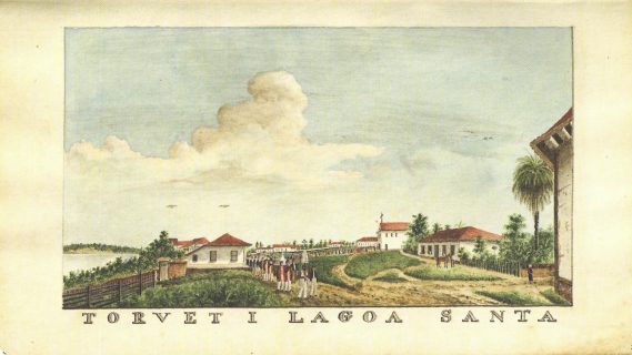 Peter Andreas Brandt