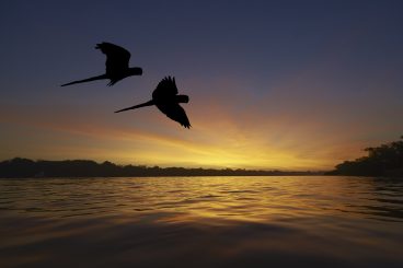 Bonito - HIKING SNORKLING