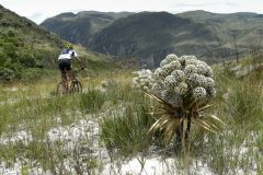 tur_brasil_serradocipo-2-de-36-e1552512887301